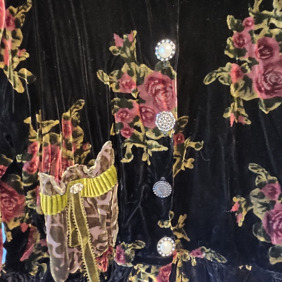 Vintage Look Floral Velvet Jacket with Rose Pattern By Hopeless Romantic - Picture 2 of 6